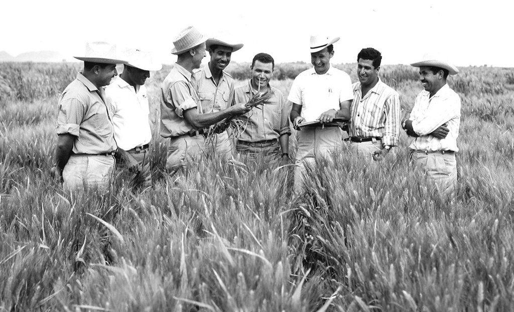 Eight smiling men in a wheat field.